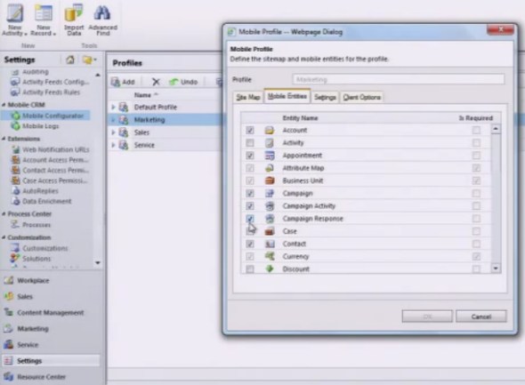 Microsoft Dynamics CRM Mobile iPad mobile profile and entities