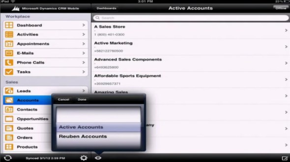 Microsoft Dynamics CRM Mobile iPad views