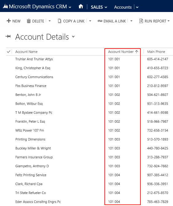 CRM_2013_auto_numbering_test_2