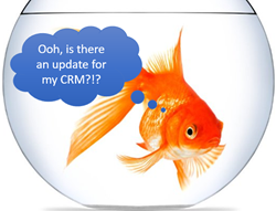 CRM_goldfish